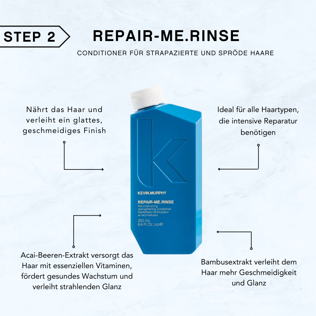 REPAIR SET - Für strapazierte Haare