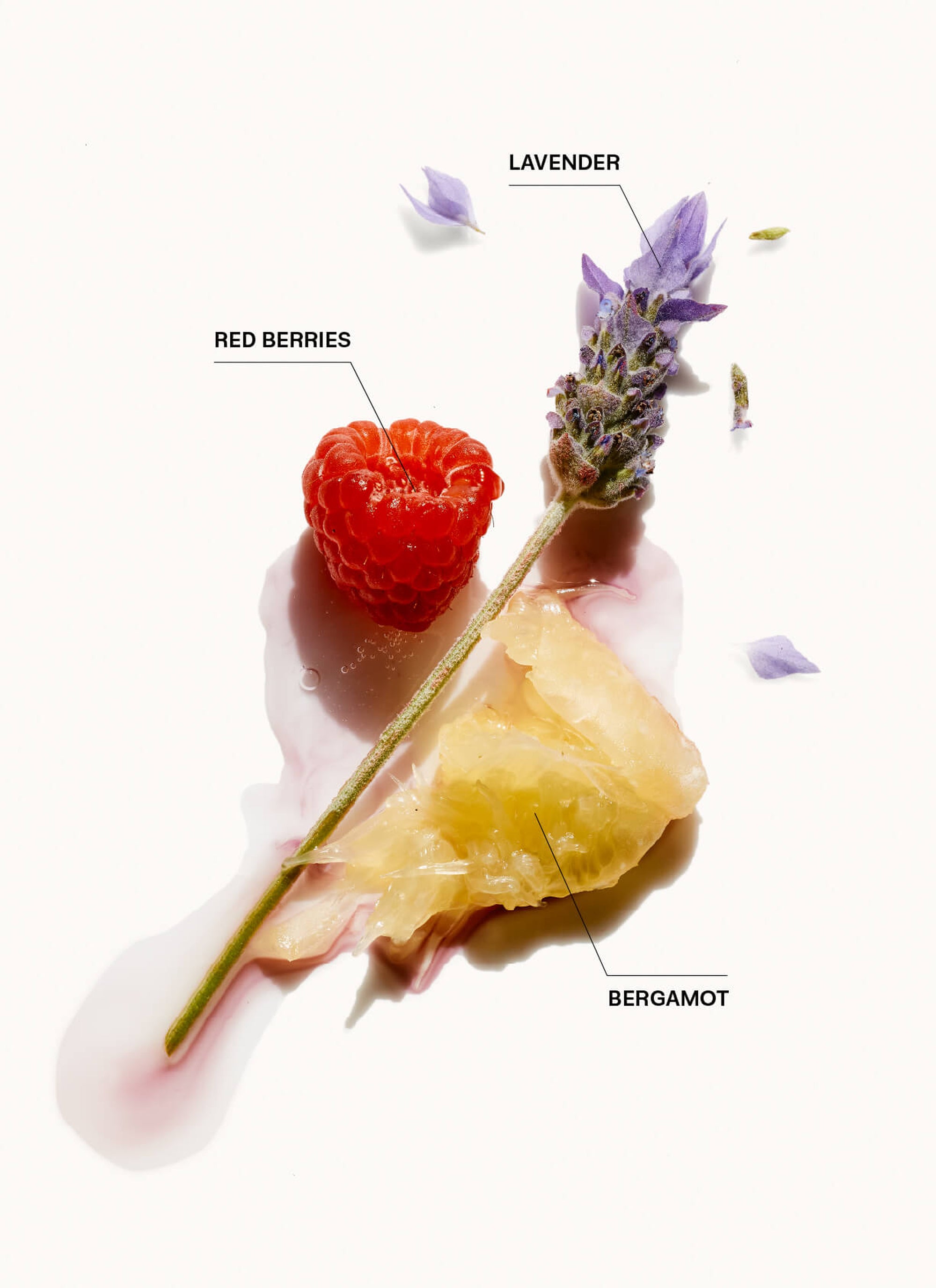 BLOW.DRY.RINSE – Duftnoten