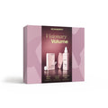 HOLIDAY BOX 2026 – VISIONARY VOLUME